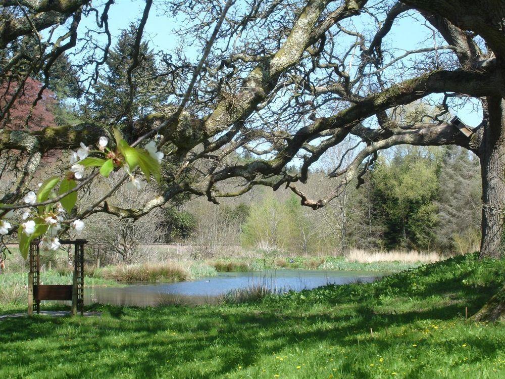 Chulmleigh Fox & Hounds Country Hotel מראה חיצוני תמונה