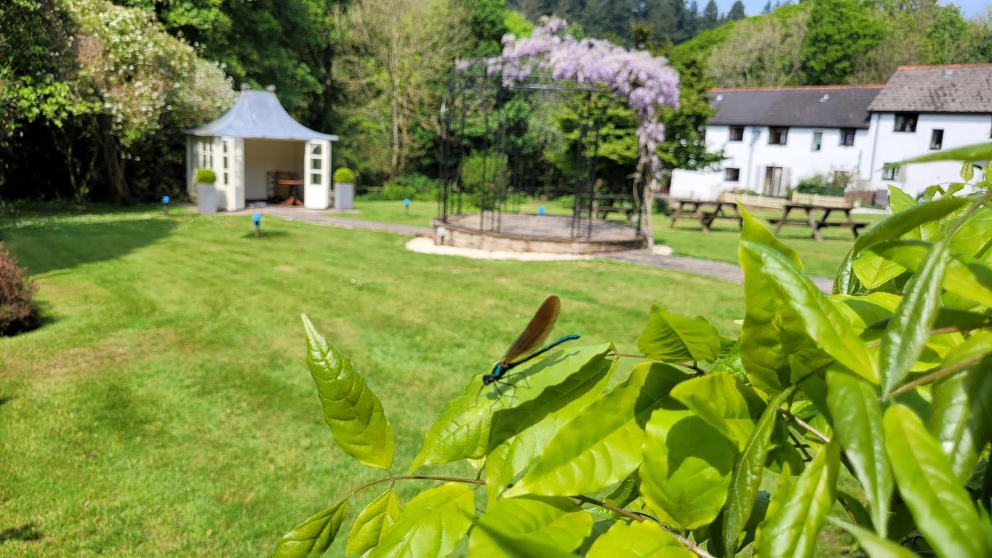 Chulmleigh Fox & Hounds Country Hotel מראה חיצוני תמונה