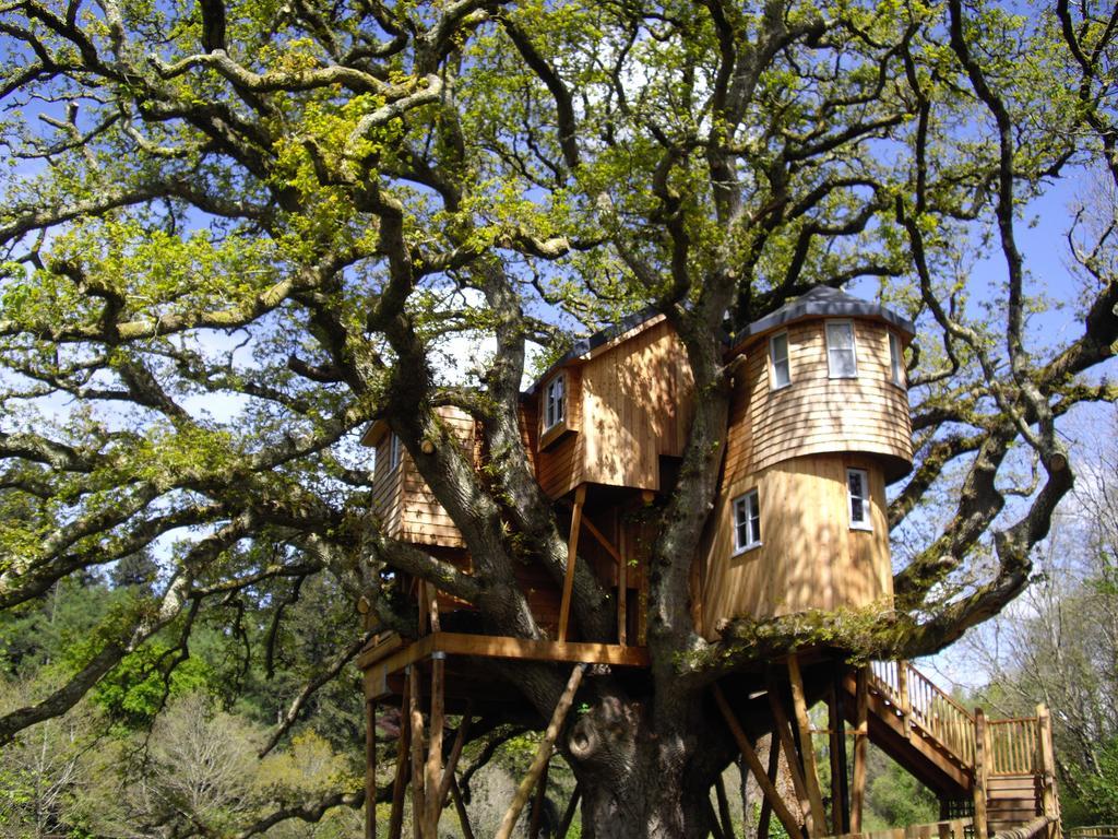 Chulmleigh Fox & Hounds Country Hotel מראה חיצוני תמונה