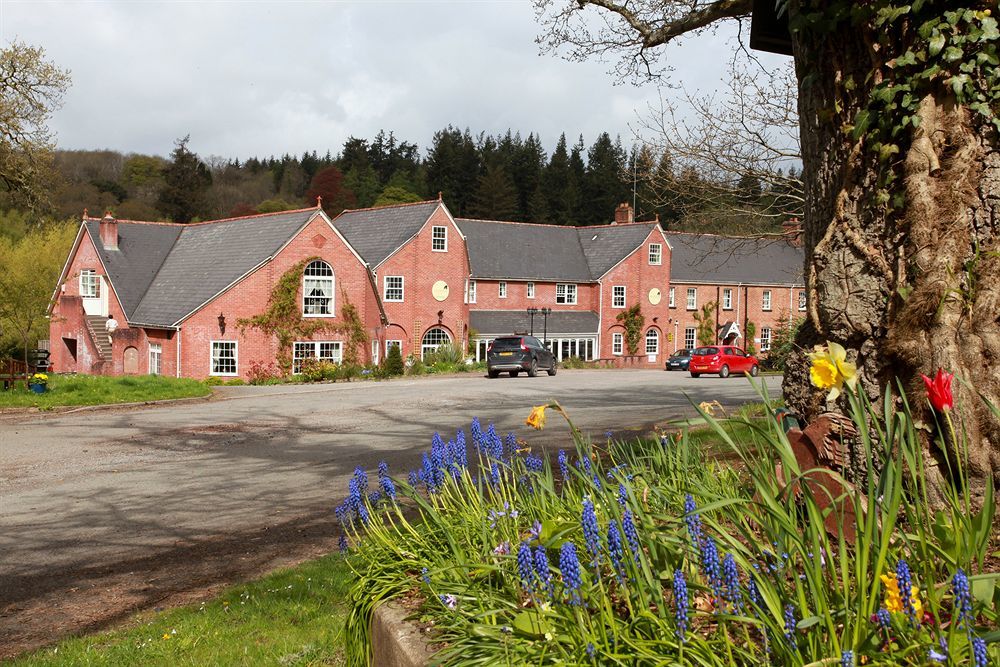 Chulmleigh Fox & Hounds Country Hotel מראה חיצוני תמונה